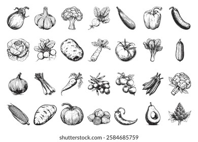 Set of different vegetables. Sketches of different food products isolated on white