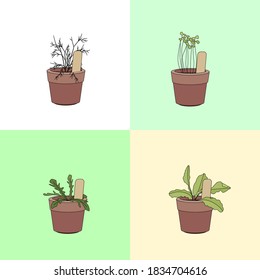 Set with different vegetables. Different sorts and color.