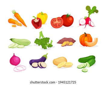 Set of different vegetables in in a trendy cartoon style. Fresh whole, half, cut slice and piece of vegetable isolated on white background. Healthy food concept.