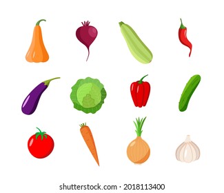 A set of different vegetables. Vector illustration of seasonal autumn harvest.