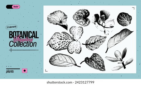 Set of different vintage plant elements with a grainy photocopy effect. Grunge dotted stickers with stippling effect. Vector illustration.
