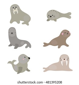 Set of different walruses and sea lions on white background.