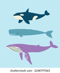 Conjunto de diferentes ballenas de estilo plano. Hermosos habitantes submarinos.