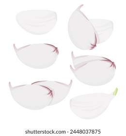 Set of different white garlic cloves