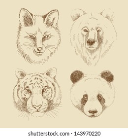 Set of different wild animals