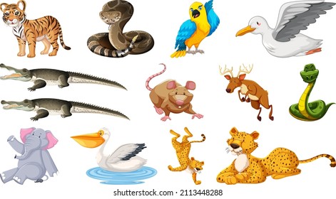 Set of different wild animals cartoon characters illustration