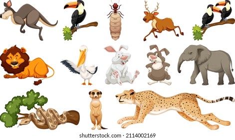 Set of different wild animals cartoon characters illustration