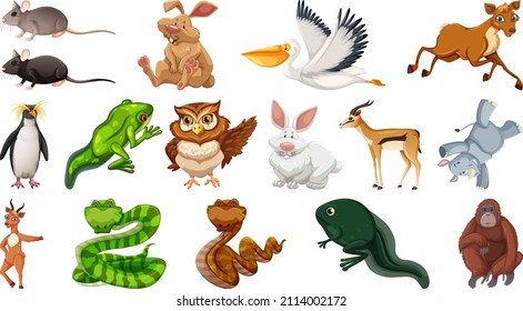 Set of different wild animals cartoon characters illustration