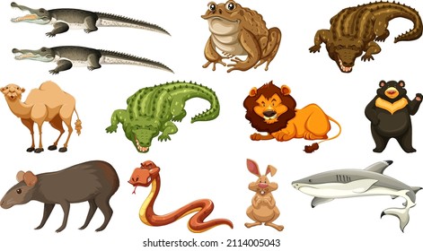 Set of different wild animals cartoon characters illustration