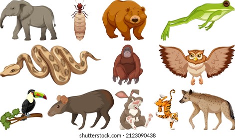 Set of different wild animals cartoon characters illustration