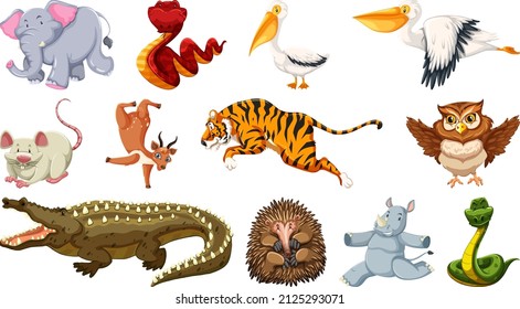 Set of different wild animals cartoon characters illustration