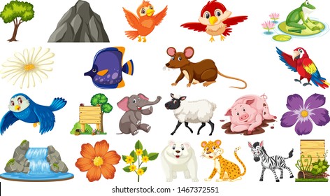 Set of different wild animals illustration