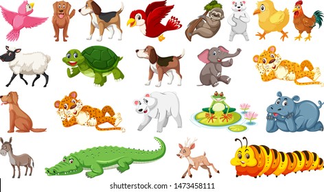 Set of different wild animals illustration