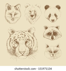 Set of different wild animals: tiger, panda, cat, raccoon, fox, bear