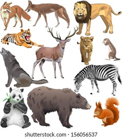 set of different wild animals. Vector illustration