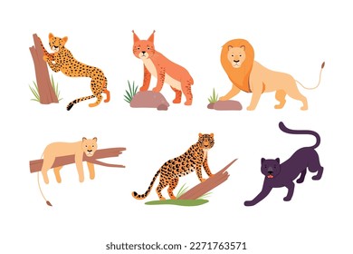 Set of different wild cats. Cheetah, lion, leopard, puma, panther, jaguar cartoon vector illustration
