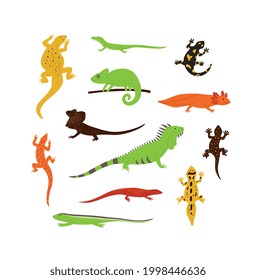Set of different wild color lizards, salamanders, chameleons, iguanas and other animals reptiles. Icons for logo or zoo design. Flat cartoon vector illustration isolated on white