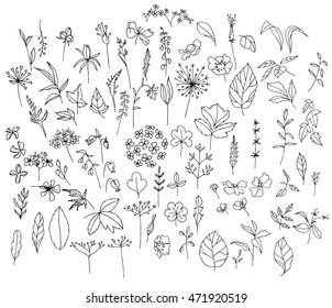 Está decorado con diferentes flores silvestres, Contorour, blanco y negro.