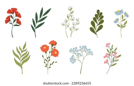 Set of different wild flowers vector flat illustration. Set of decorative floral design elements. 