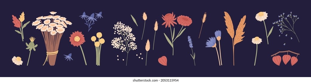 Set of different wild and garden flower plants. Floral bundle of wildflowers. Botanical floristic design elements. Collection of meadow and field flora. Colored flat vector illustration of herbs