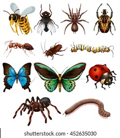 Insect Clipart Images Stock Photos Vectors Shutterstock