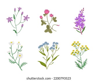 Set of different wildflowers. Beautiful flower twigs in cartoon style.