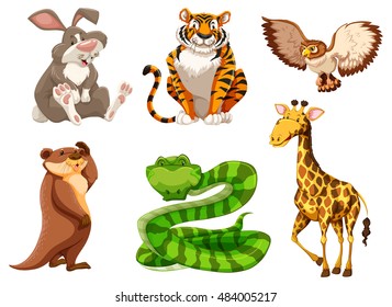 Set of different wildlife illustration