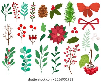 Set of different winter plants. Collection of berries, branches, illustration of poinsettia flower, cones and others.