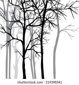 set of different winter trees and roots, vector illustration