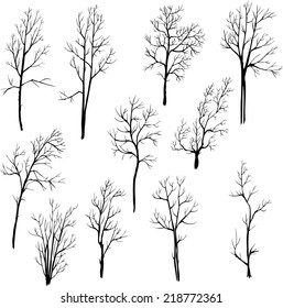 set of different winter trees, vector illustration, hand drawn design element