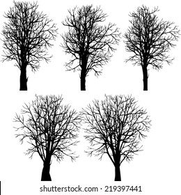 set of different winter trees, vector illustration