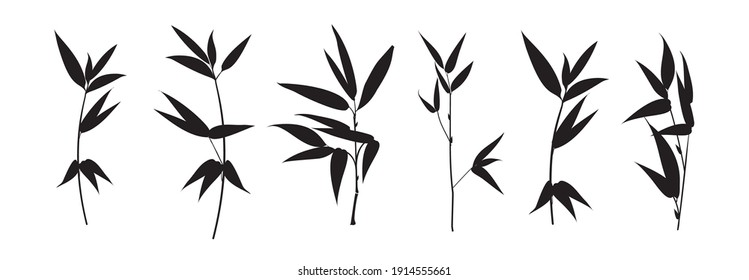 Set of differents bamboo branch on white background