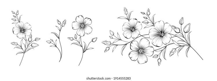 Set of differents flower linen on white background - Shutterstock ID 1914555283