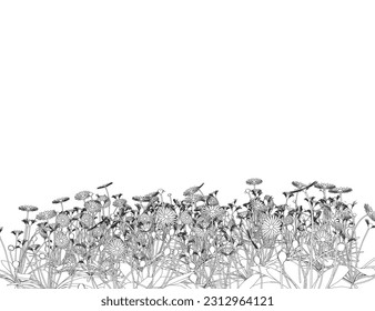 Set of differents flower linen on white background. Grass with herbs and wild flowers. Vector isolated contour of floral meadow. Black outline of grass, flowers and herbs isolated on white background.