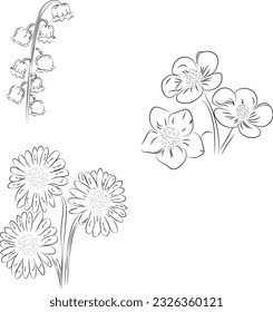 Conjunto de lino de flores diferentes sobre fondo blanco, ilustración abstracta de flor. arte vectorial dibujado a mano.