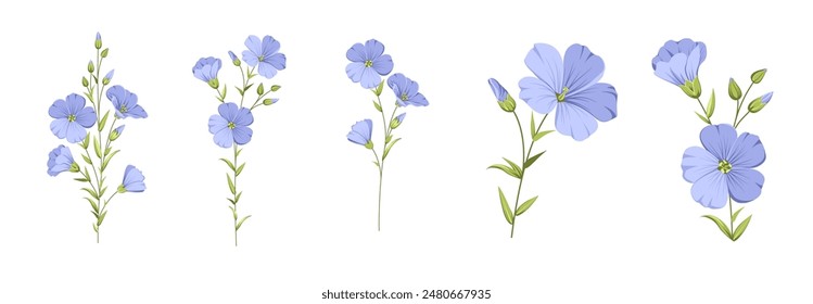 Set of differents flower linen on white background. 