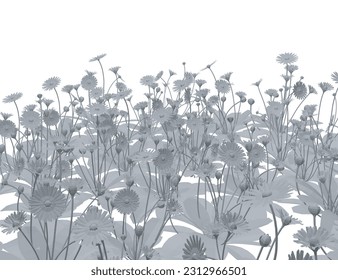 Set of differents flower on white background. Grass with herbs and wild flowers. Vector isolated polygonal of floral meadow. Gray polygonal of grass, flowers and herbs isolated on white background. 3D