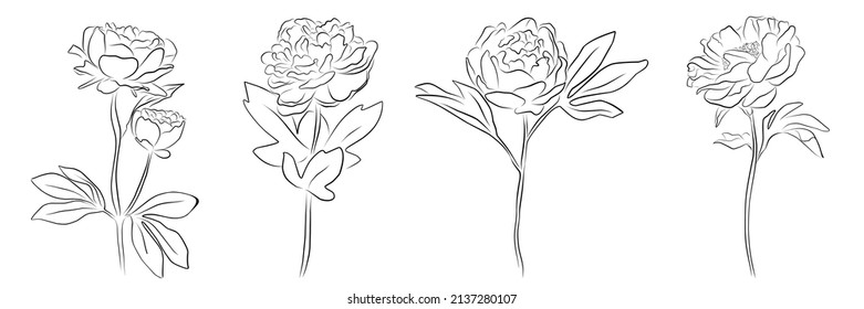 conjunto de diferentes decoraciones de piedra sobre fondo blanco