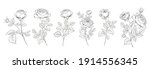 Set of differents roses on white background