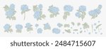 Set of differents white hydrangea on white background. Elegant line art, outline illustration.