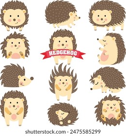 Set digital collage of cute brown hedgehog  in different positions
