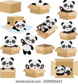 Set digital collage of cute panda in cardboard box