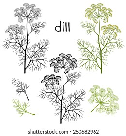 Set Dill Isolated On White Background Stock Vector (Royalty Free ...