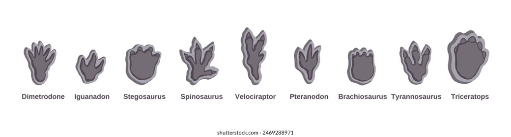 Set Dino foot, big footprint. Vector Illustrations paw. For textile, wallpaper and design
. Paw predator.