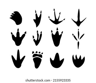 Set of Dinosaur footprint   vector icon black color isolated on white background.