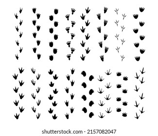 Set of Dinosaur footprint   vector icon black color isolated on white background.