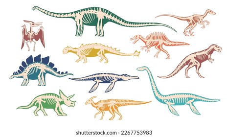 Set of Dinosaur Fossil, Ancient Relics, Complete Skeleton Of Prehistoric Creature Bones Distant Past Prehistoric World, Paleontolgy Museum Exhibit of Ancient Animals. Cartoon Vector Illustration