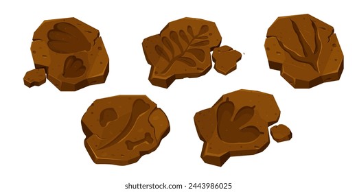 Set dinosaur fossil, paw print, reptile foot trail isolated on white background. Archaeological and paleontology finds.