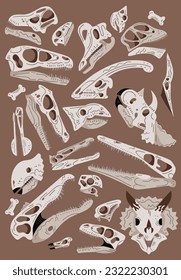 set of dinosaur fossil skull illustration collection