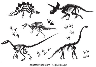 Set of dinosaur skeletons. Collection of silhouettes of bones of prehistoric creatures. Dinosaur paw prints silhouettes set. Vector illustration for museums. Drawing with children.